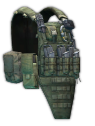 Чехол для бронеплит Crye Precision "AVS" (Ranger Green)